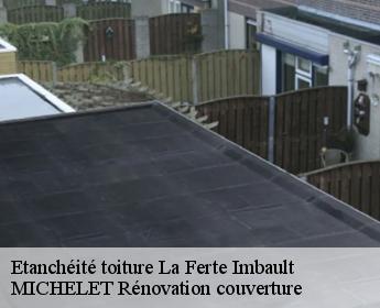 Etanchéité toiture  la-ferte-imbault-41300 MICHELET Rénovation couverture