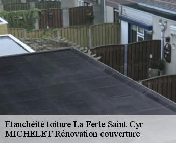 Etanchéité toiture  la-ferte-saint-cyr-41220 MICHELET Rénovation couverture