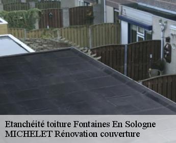 Etanchéité toiture  fontaines-en-sologne-41250 MICHELET Rénovation couverture