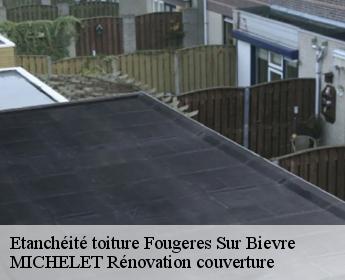 Etanchéité toiture  fougeres-sur-bievre-41120 MICHELET Rénovation couverture