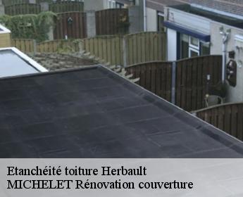 Etanchéité toiture  herbault-41190 MICHELET Rénovation couverture