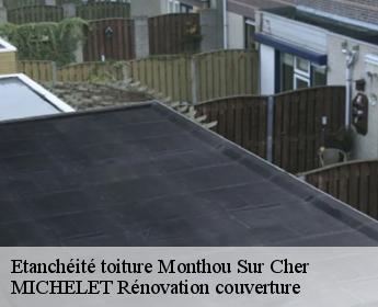 Etanchéité toiture  monthou-sur-cher-41400 MICHELET Rénovation couverture