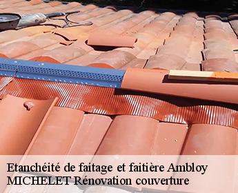 Etanchéité de faitage et faitière  ambloy-41310 MICHELET Rénovation couverture