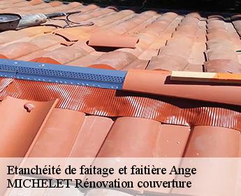 Etanchéité de faitage et faitière  ange-41400 MICHELET Rénovation couverture