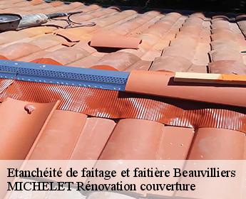 Etanchéité de faitage et faitière  beauvilliers-41290 MICHELET Rénovation couverture