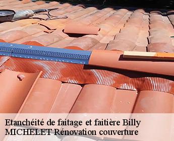 Etanchéité de faitage et faitière  billy-41130 MICHELET Rénovation couverture