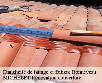 Etanchéité de faitage et faitière  bonneveau-41800 MICHELET Rénovation couverture