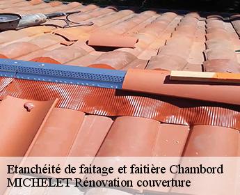 Etanchéité de faitage et faitière  chambord-41250 MICHELET Rénovation couverture