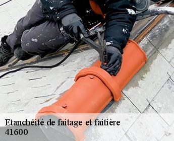 Etanchéité de faitage et faitière  41600