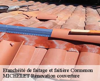 Etanchéité de faitage et faitière  cormenon-41170 MICHELET Rénovation couverture