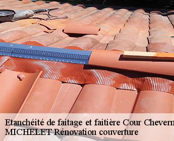 Etanchéité de faitage et faitière  cour-cheverny-41700 MICHELET Rénovation couverture