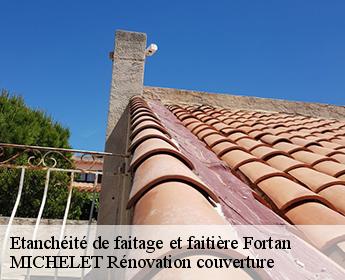 Etanchéité de faitage et faitière  41360