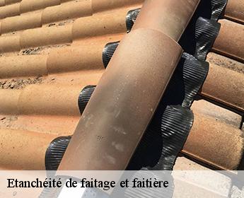 Etanchéité de faitage et faitière