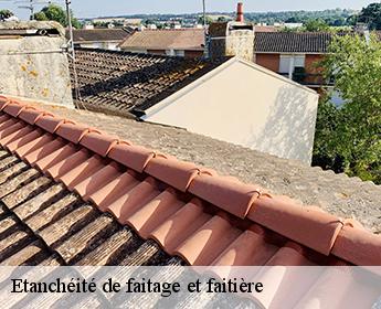 Etanchéité de faitage et faitière