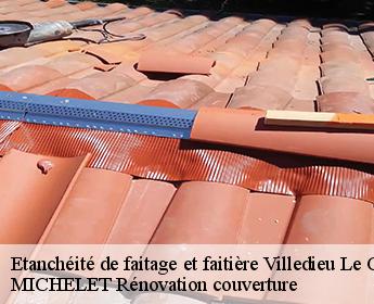 Etanchéité de faitage et faitière  villedieu-le-chateau-41800 MICHELET Rénovation couverture