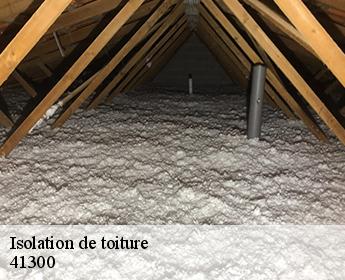 Isolation de toiture  41300