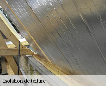 Isolation de toiture  41200